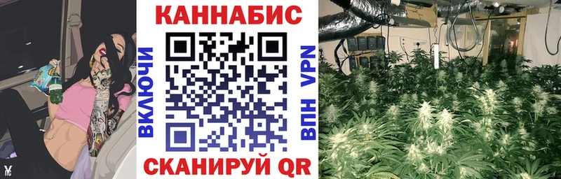 Шишки марихуана ГИДРОПОН  ссылка на мегу зеркало  Елизаветинская  как найти наркотики 